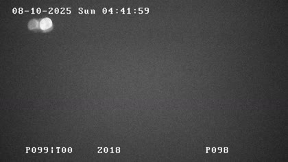 2025-08-10