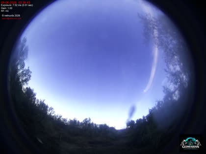 2026-06-09