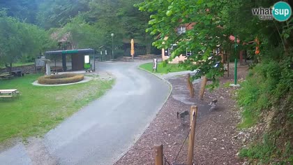 2026-06-09