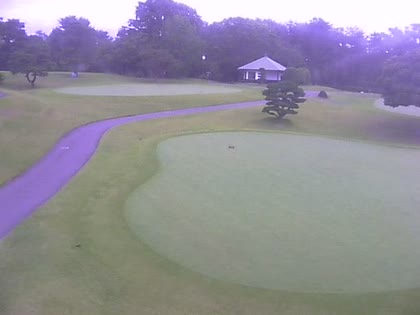 2025-06-15