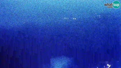 2025-06-06