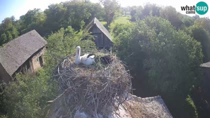 2026-05-02