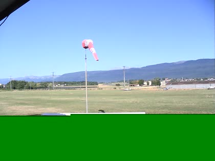 2025-07-31