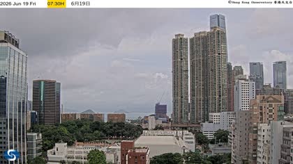 2026-06-19