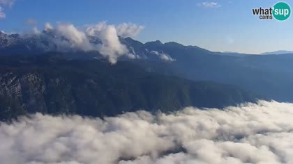 2026-07-24