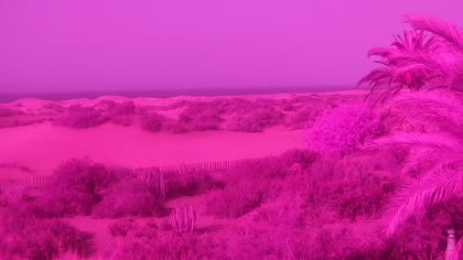 2026-08-02