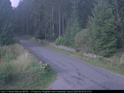 2025-08-09