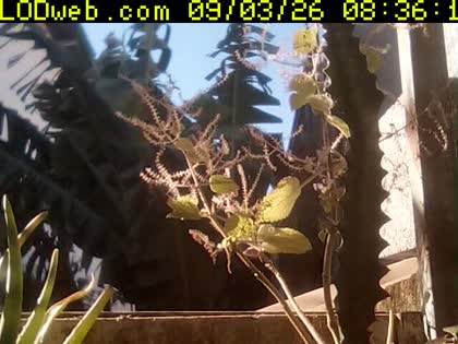 2026-09-03