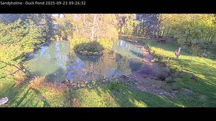 2025-09-23
