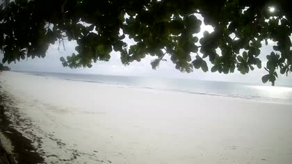 2026-10-25