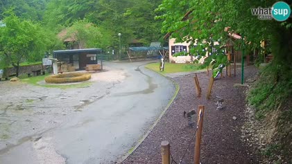 2025-05-06