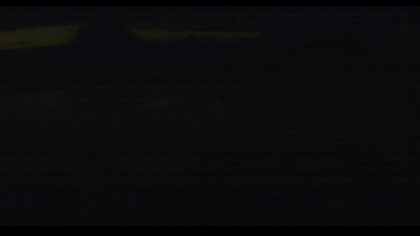 2025-08-11