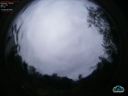 2026-08-08