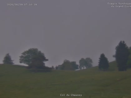 2026-06-09