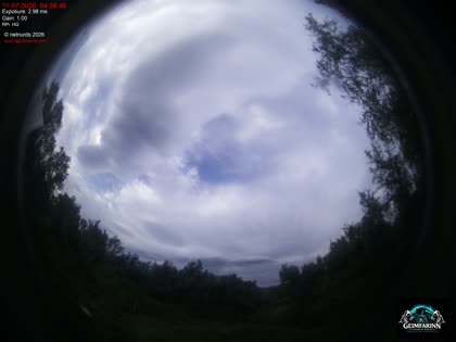 2026-07-11