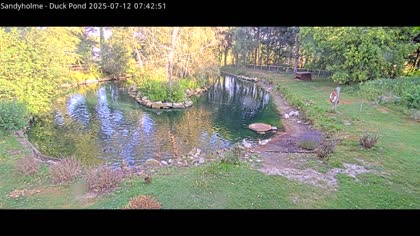 2025-07-12