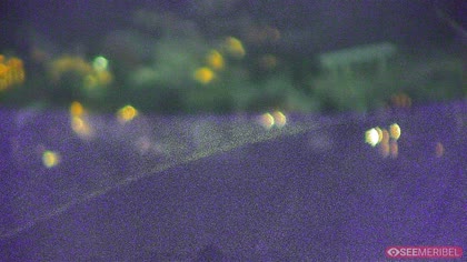 2025-07-11