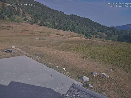 2026-08-09