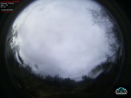 2026-10-10