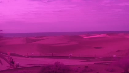 2026-04-29