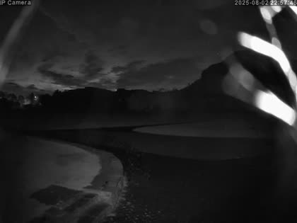 2025-08-03