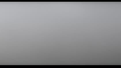 2025-07-29