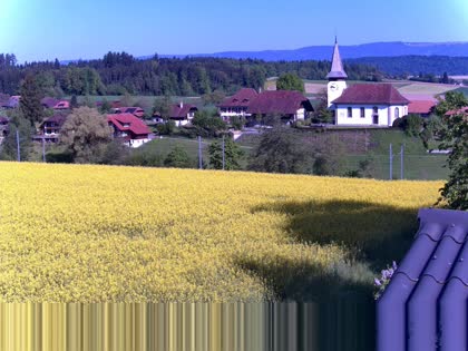 2025-05-01