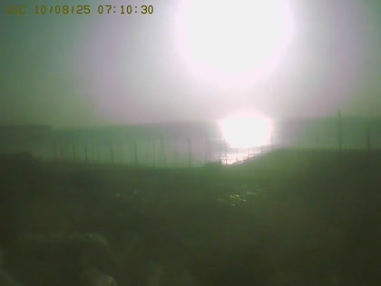 2025-08-10