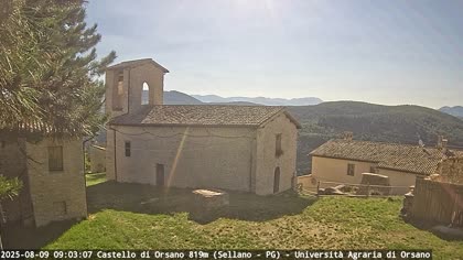 2025-08-09