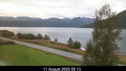 2025-08-11