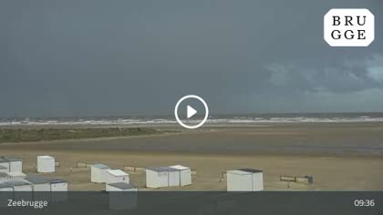 2026-10-08