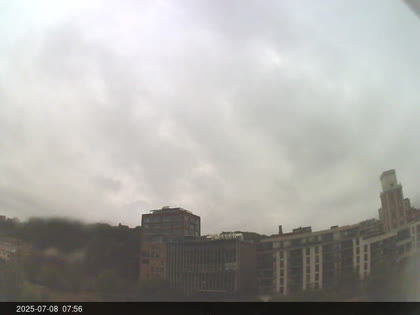 2025-07-08
