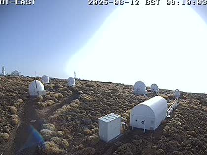 2025-08-12
