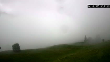 2025-07-04