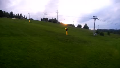 2025-06-07