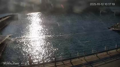 2025-10-12