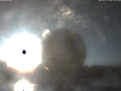 2025-07-11
