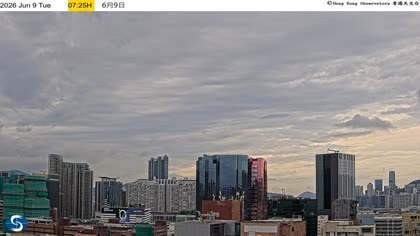 2026-06-09