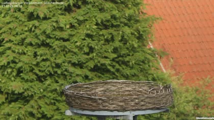2026-07-31