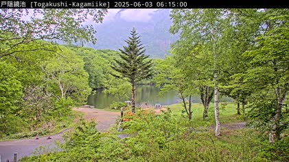 2025-06-02
