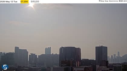 2026-05-12