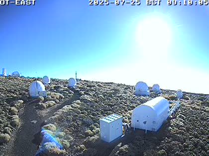 2025-07-25