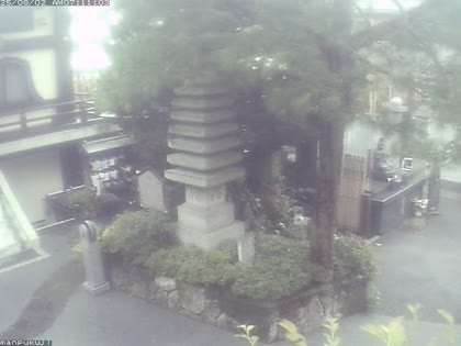 2025-08-01
