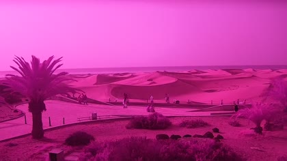 2025-09-20