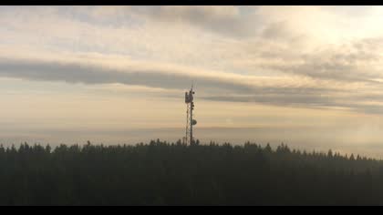 2025-07-25