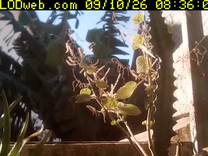 2026-09-10