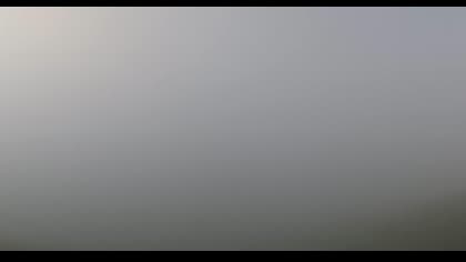 2025-08-07