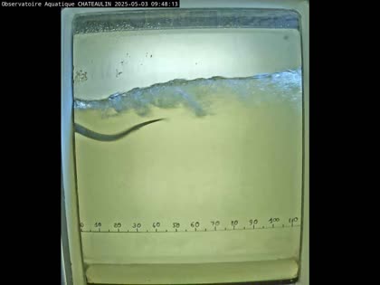 2025-05-03