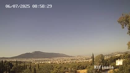 2025-07-06