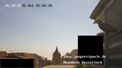 2025-05-11